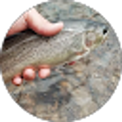 Profile photo of Marc Ruhl