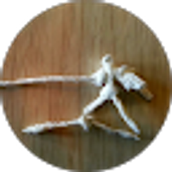 Profile photo of Victor Cadena