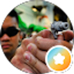 Profile photo of Joel Jay De Jesus