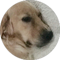 Profile photo of Davi Rene' kirk