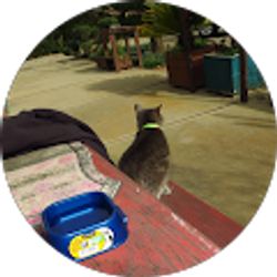 Profile photo of MI N