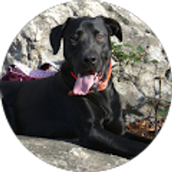 Profile photo of Reenie D.