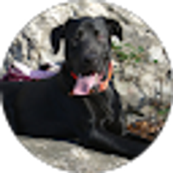 Profile photo of Reenie D.