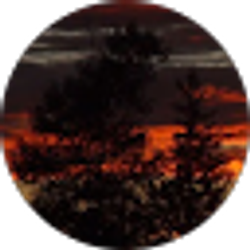 Profile photo of Payton Hiltner