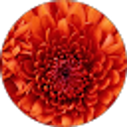 Profile photo of Erin Edmiston