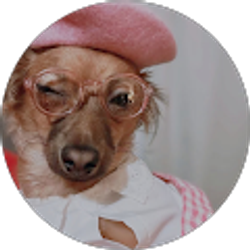 Profile photo of Bri