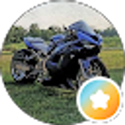 Profile photo of M B