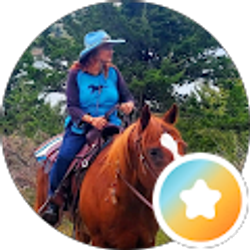 Profile photo of Renee Sheehan