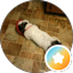 Profile photo of Dinah