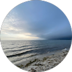 Profile photo of sebastian mirabal