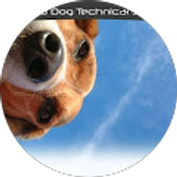 Profile photo of Alan Witte