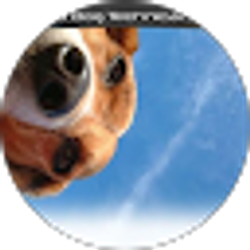 Profile photo of Alan Witte