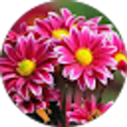 Profile photo of Tammy Denton