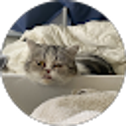Profile photo of Brookie