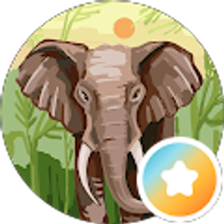 Profile photo of Debi Knops