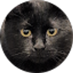 Profile photo of Ariel “Rhys” Denny