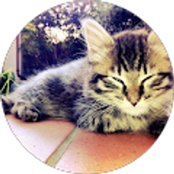 Profile photo of fmfracingpro