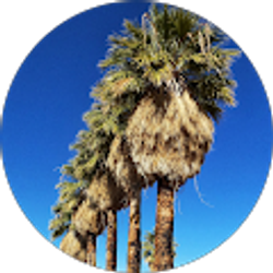 Profile photo of Krista Harrington