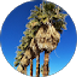 Profile photo of Krista Harrington