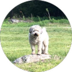 Profile photo of Patricia Doria