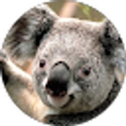 Profile photo of Mona Silva