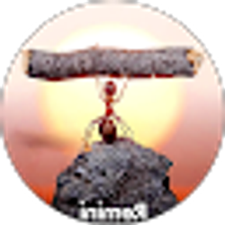 Profile photo of FsxMaxx