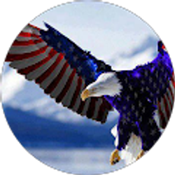 Profile photo of Riding Wind (GlideRider)