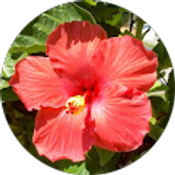 Profile photo of Cassie Barczak