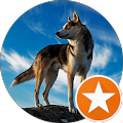 Profile photo of Joshua Van Overstraeten