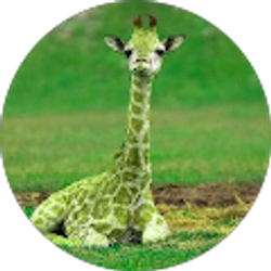 Profile photo of Bradley Allen