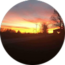 Profile photo of Emily Shoemaker