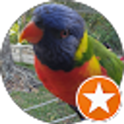 Profile photo of Kate Stephens