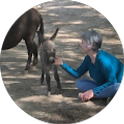 Profile photo of Donna Olguin