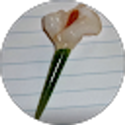 Profile photo of Beverly Myers