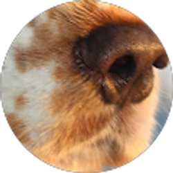 Profile photo of Michelle Alpern