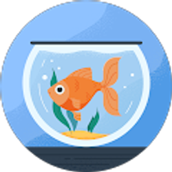 Profile photo of Rafael Ángeles