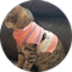 Profile photo of las travesuras de Melissa adames vanessa