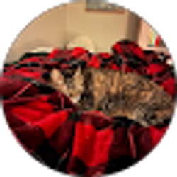 Profile photo of Madi Aycock