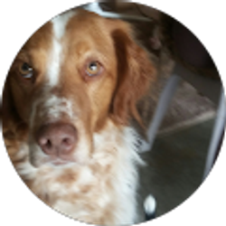 Profile photo of rich christensen