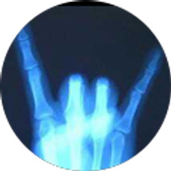 Profile photo of Shawn Mcdaniel