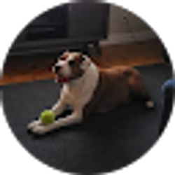 Profile photo of john chaidez