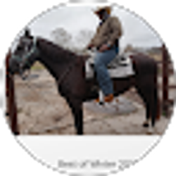 Profile photo of Travis Anderson