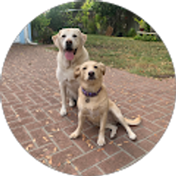 Profile photo of Linda N