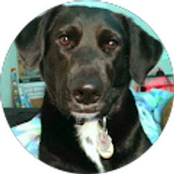 Profile photo of Ashley Clifford