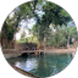 Profile photo of Diana