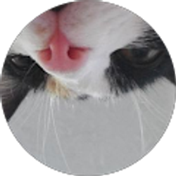 Profile photo of Carla Griffith