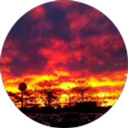 Profile photo of Delores Brown