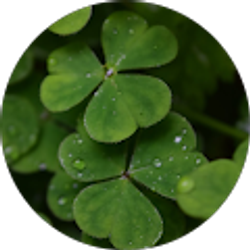 Profile photo of Laura Noonan