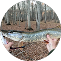 Profile photo of Ron Doyle