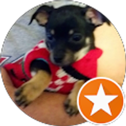 Profile photo of Donna Savona